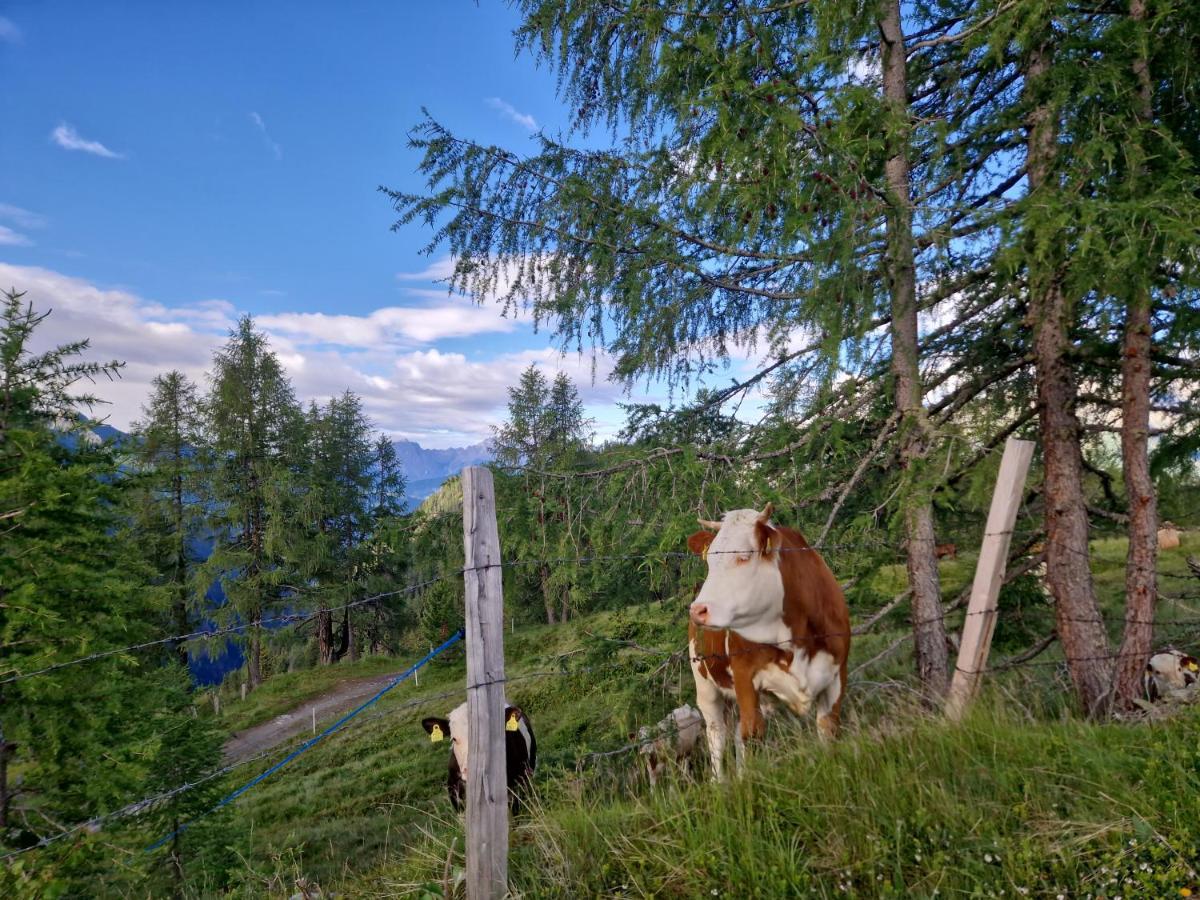 Almgasthaus Glocknerblick Großkirchheim Exteriör bild